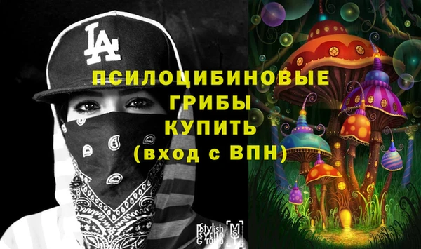 стаф Абаза