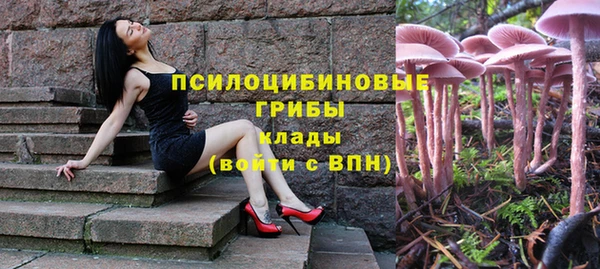 прущие крисы Абинск