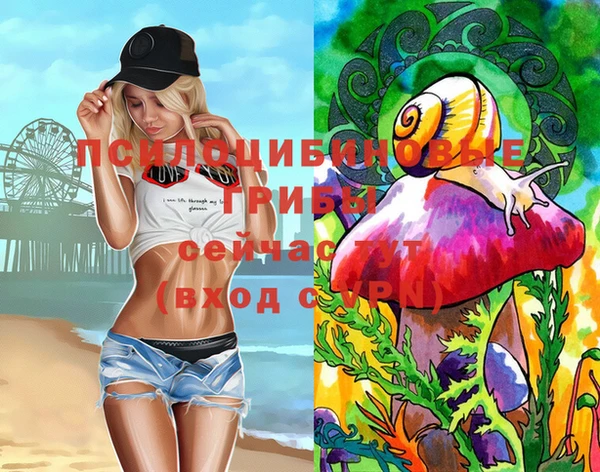 спайс Абдулино