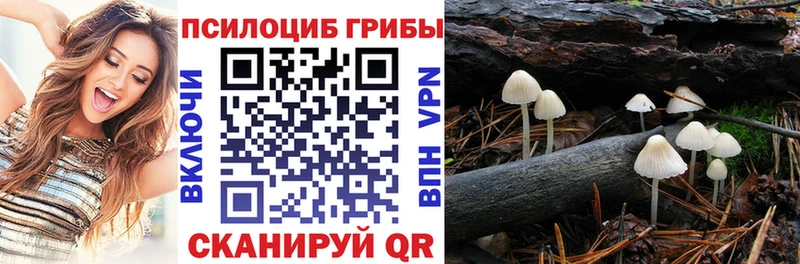 Псилоцибиновые грибы Psilocybine cubensis Усть-Катав